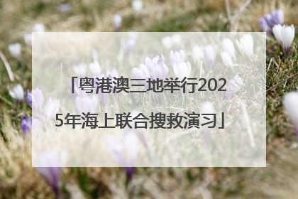 粤港澳三地举行2025年海上联合搜救演习